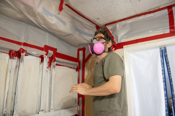 Best Emergency Mold Remediation  in Pleasant Hill, CA