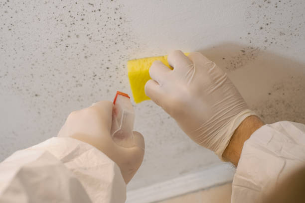 Best Post-Remediation Verification Testing  in Pleasant Hill, CA